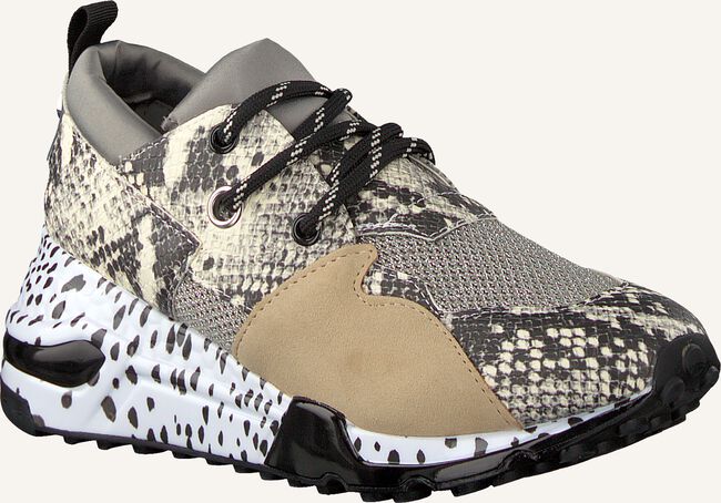 Beige STEVE MADDEN Lage sneakers CLIFF SNEAKER Beige STEVE MADDEN Lage sneakers CLIFF SNEAKER - large