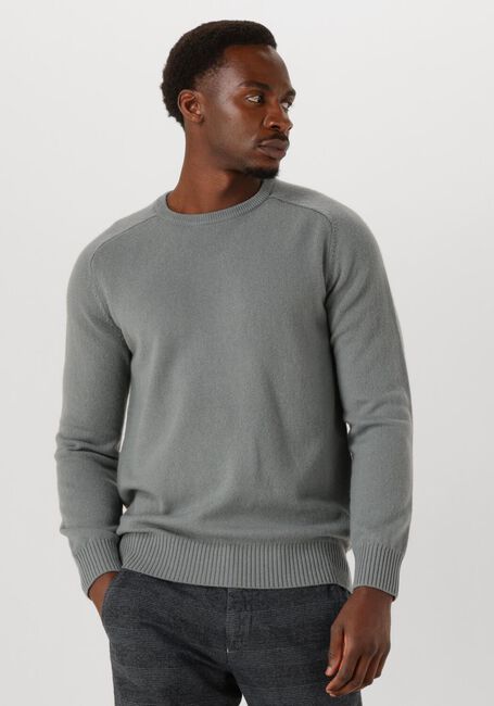 Grijze STEFANO LAURAN Trui CREW L - large