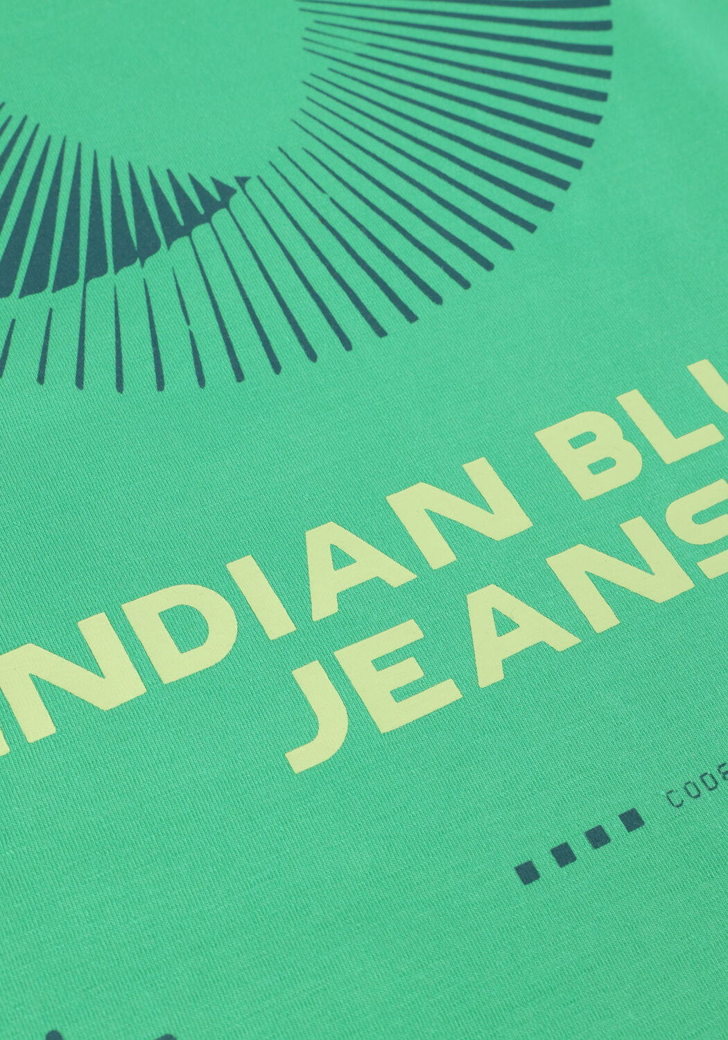 INDIAN BLUE JEANS Jongens Polo's & T-shirts T-shirt Indian Backprint Groen