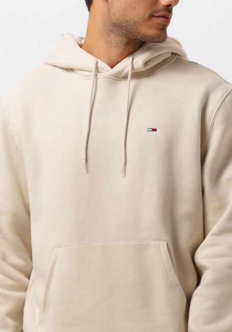 Beige TOMMY JEANS Truien/vesten TJM REG S FLAG HOODIE - large