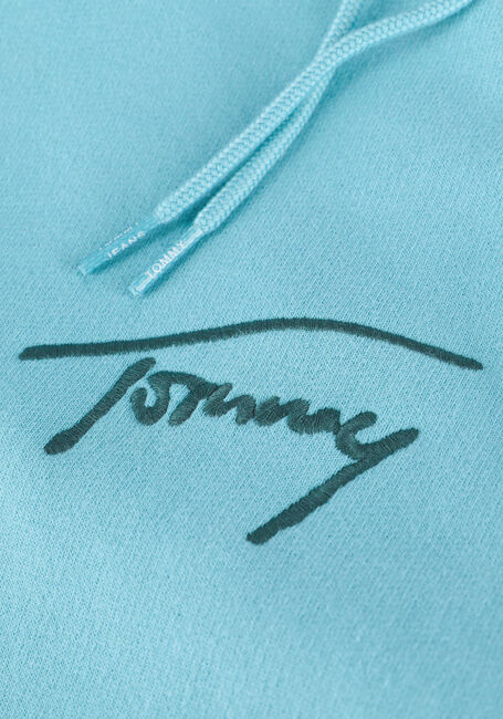 Lichtblauwe TOMMY JEANS Sweater TJM SIGNATURE HOODIE - large