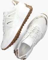 Witte OMODA Lage sneakers KRONOS - medium