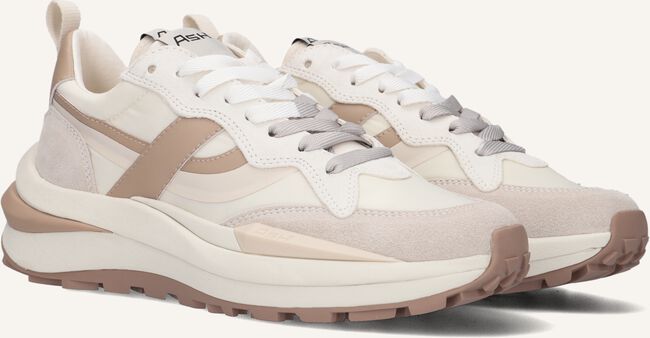 Beige ASH Lage sneakers SPIDER Beige ASH Lage sneakers SPIDER - large