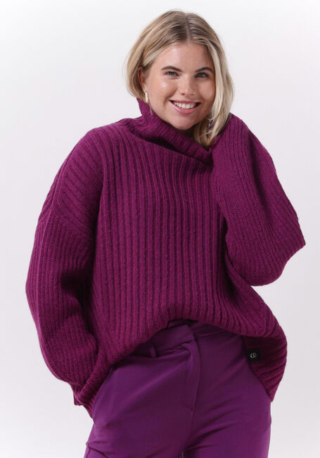 Paarse OTTOD'AME Coltrui MAGLIA EK0050 - large