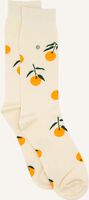 Witte ALFREDO GONZALES Sokken TANGERINE - medium