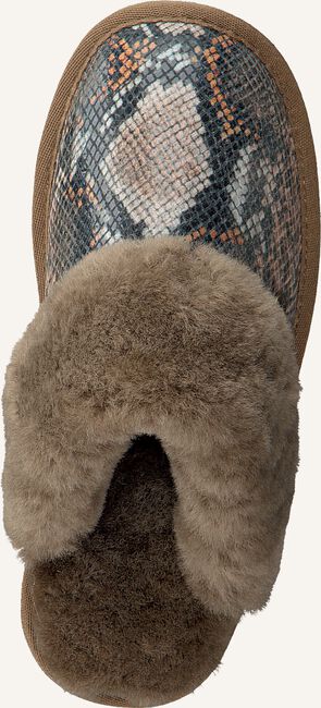 WARMBAT FLURRY WARMBAT FLURRY - large