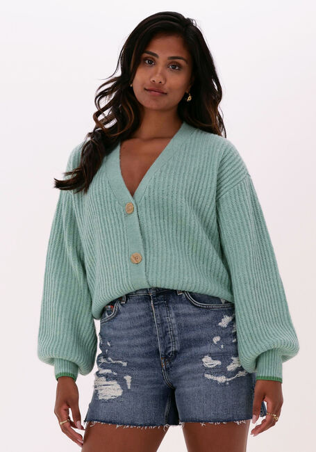 Groene SCOTCH & SODA Vest FUZZY KNITTED CARDIGAN - large