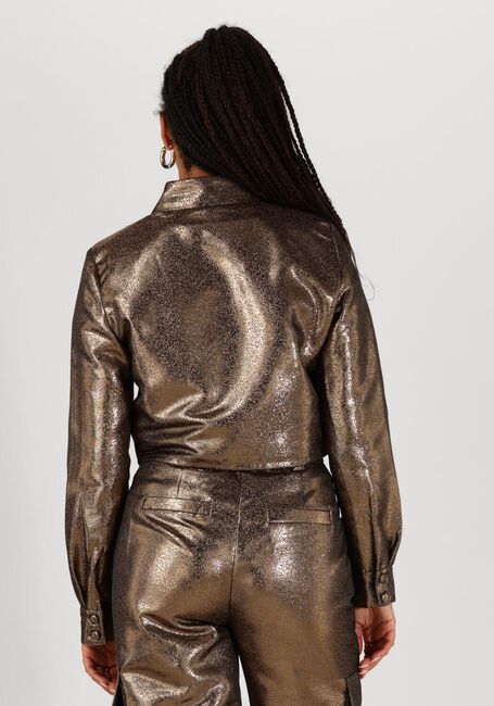 Gouden JOSH V Blouses DAVIS - large