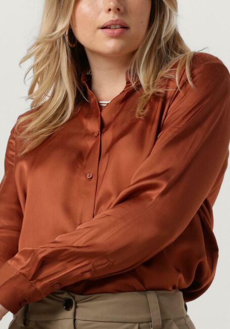 Bruine MODSTRÖM Blouses BEATEMD SHIRT - large
