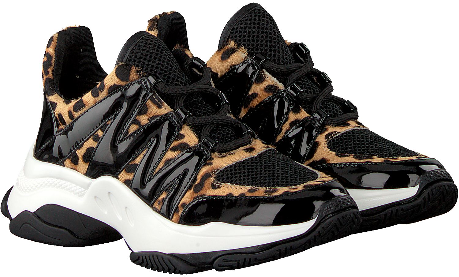 Steve Madden Maximus Maximus Leopard Multi Steve Madden Maximus