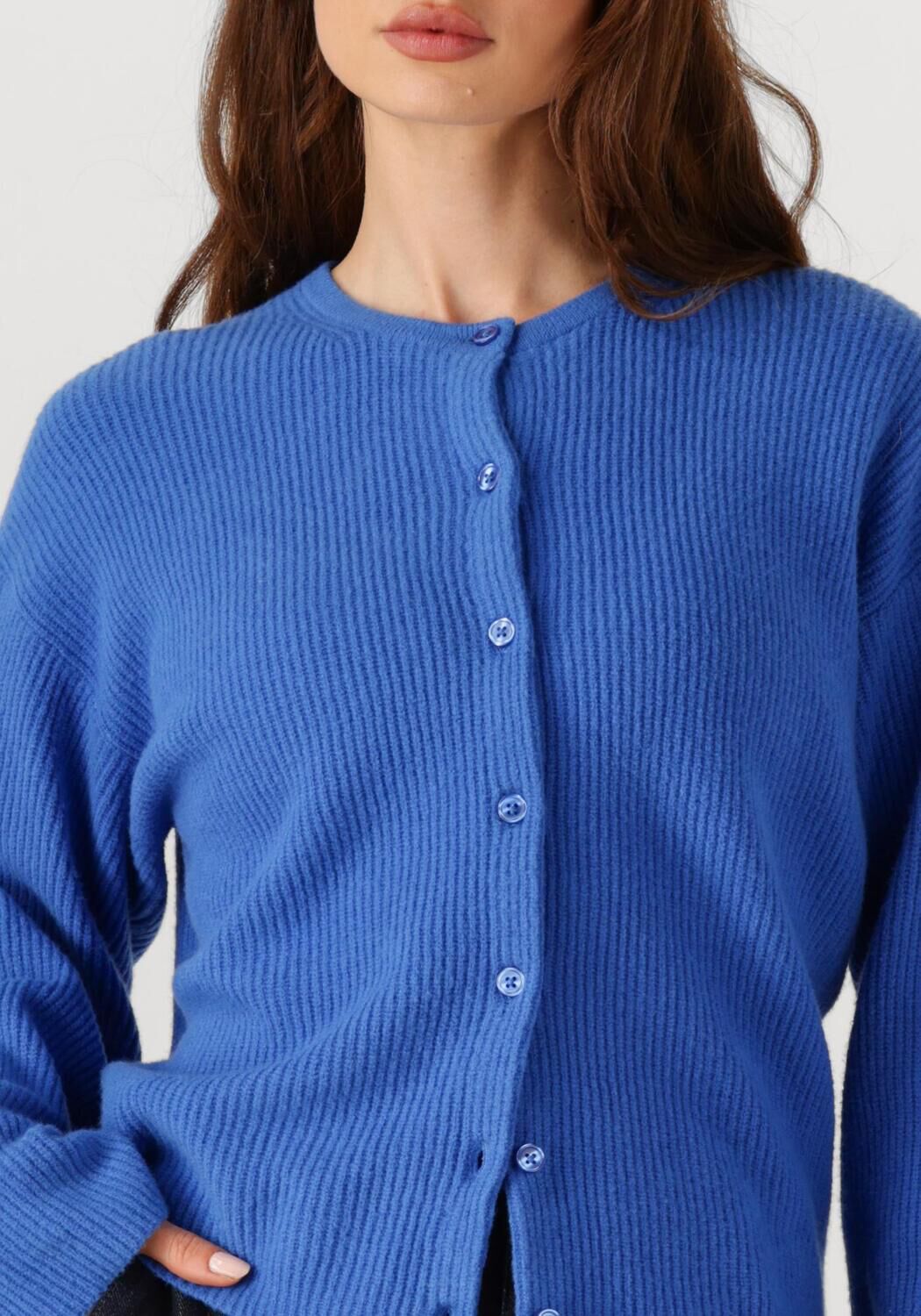 PENN & INK Dames Truien & Vesten Cardigan W25b345 Blauw