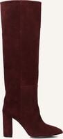TORAL 12591 TORAL 12591 - medium