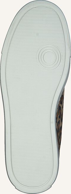 Bruine VIA VAI Lage sneakers UMA WILD Bruine VIA VAI Lage sneakers UMA WILD - large