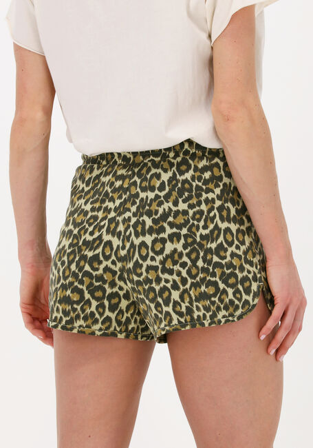 Bruine LEON & HARPER Shorts QUAROL JC55 BEAST - large
