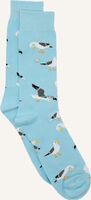 Blauwe ALFREDO GONZALES Sokken SEAGULL - medium