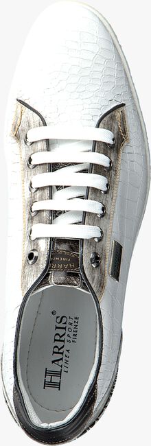 Witte HARRIS CARDIFF Lage sneakers - large