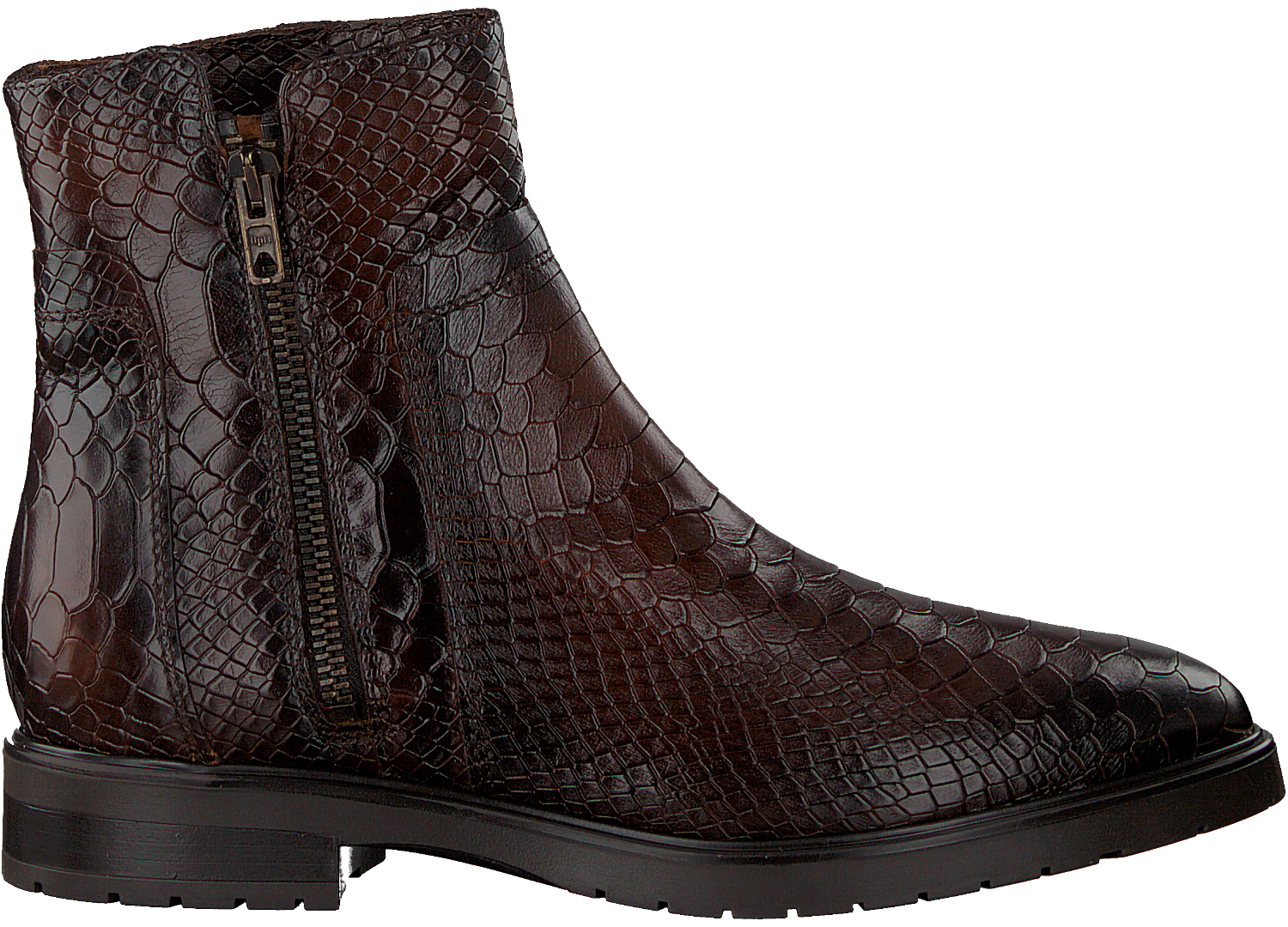 Omoda Enkellaarsjes Bruin Hotsell, 64% OFF | www.museodeltaantico.com