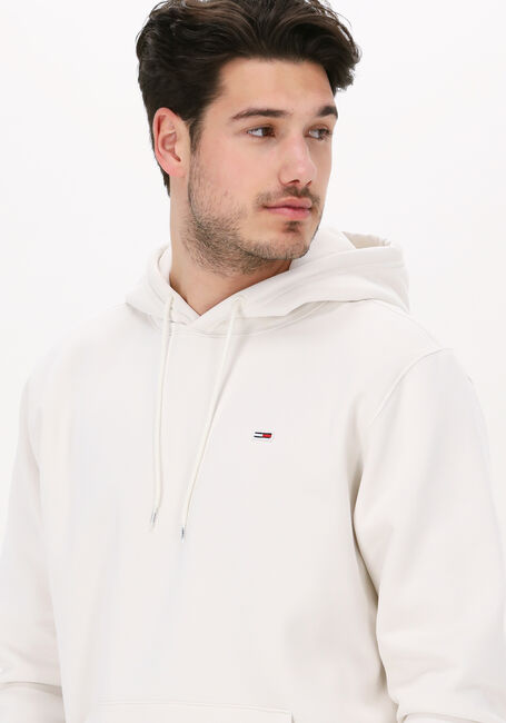 Gebroken wit TOMMY JEANS Sweater TJM REGULAR FLEECE HOODIE - large