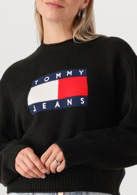 Zwarte TOMMY JEANS Sweater TJW MELANGE FLAG SWEATER RIB EXT - large