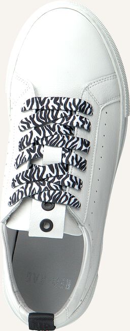 Witte RED-RAG Lage sneakers 74308 Witte RED-RAG Lage sneakers 74308 - large