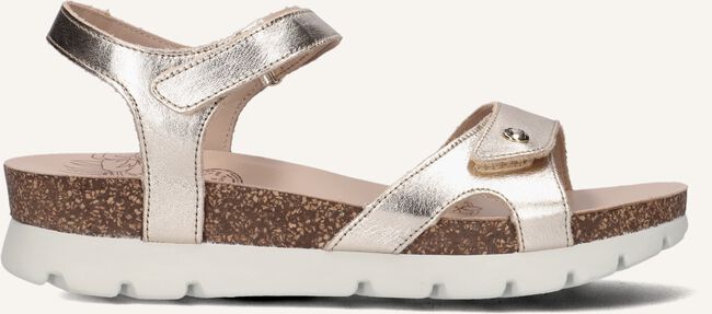 Gouden PANAMA JACK Platte sandalen SULIA Gouden PANAMA JACK Platte sandalen SULIA - large