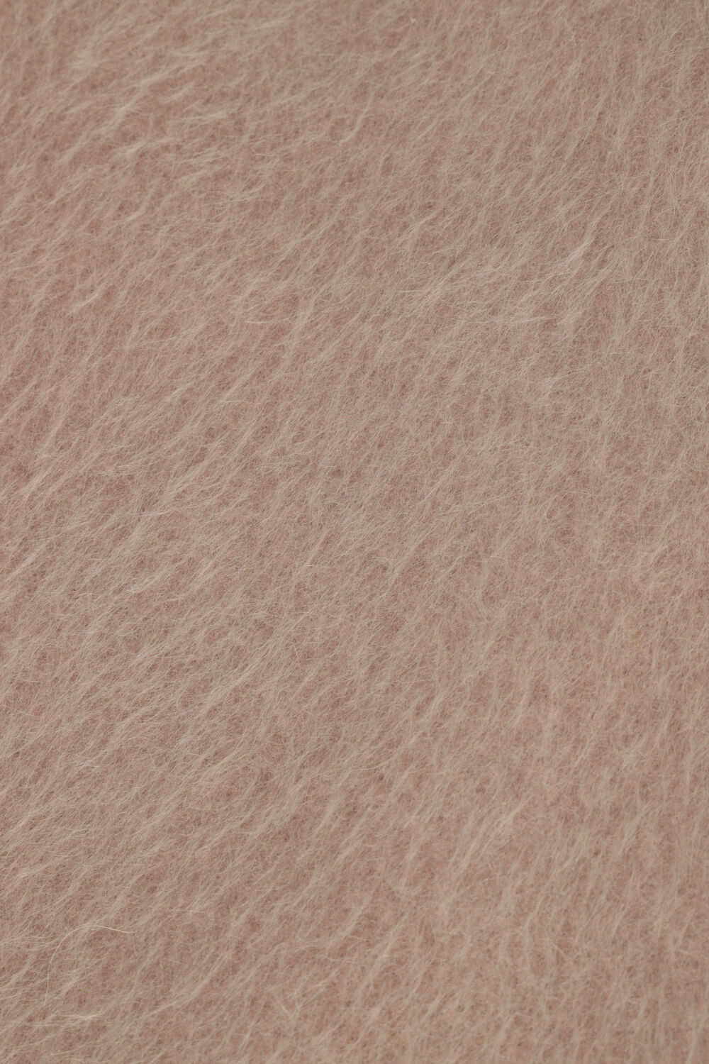 Camel IBANA Jack CALLETTA - large