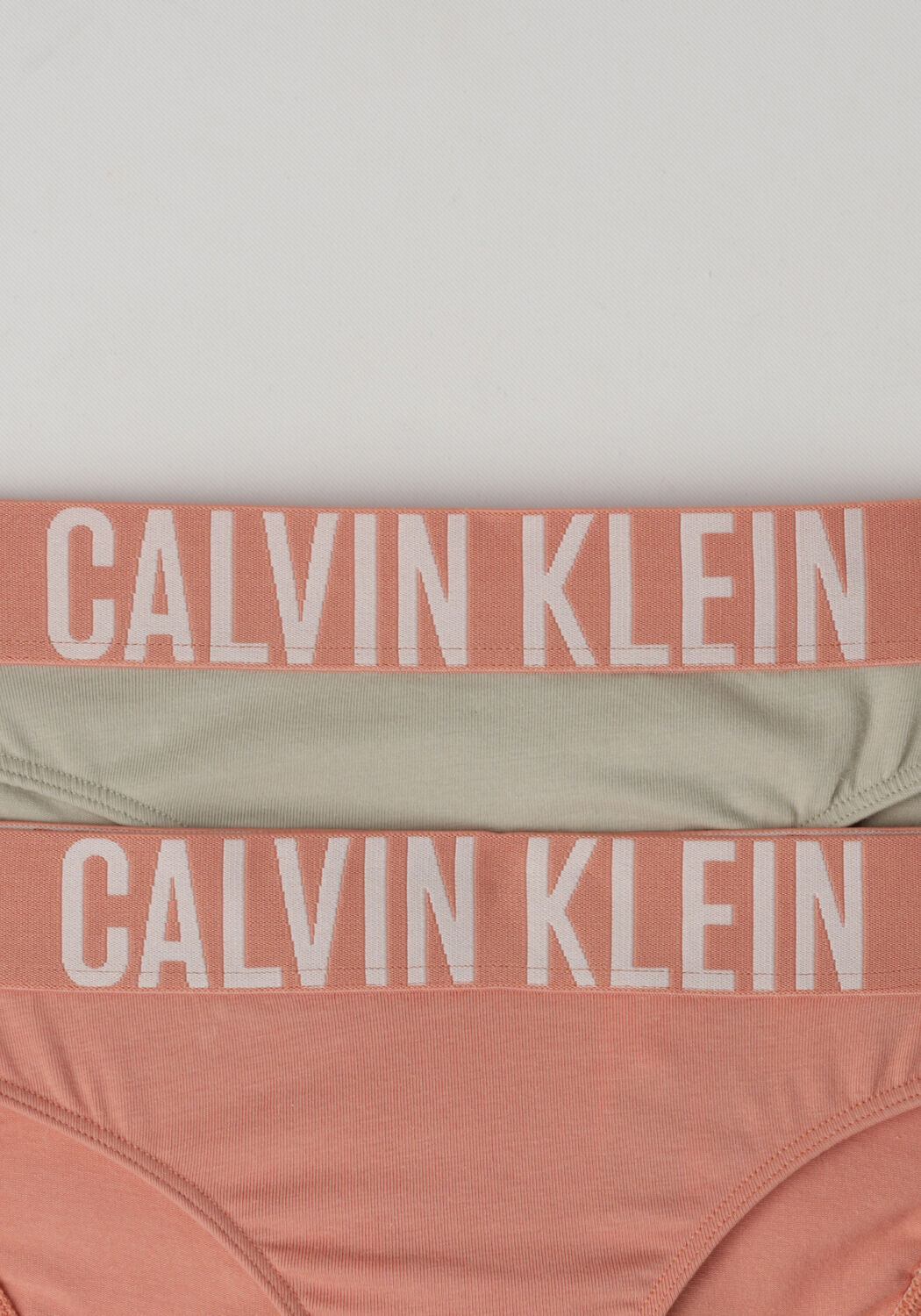 Roze CALVIN KLEIN UNDERWEAR Ondergoed 2PK BIKINI - large