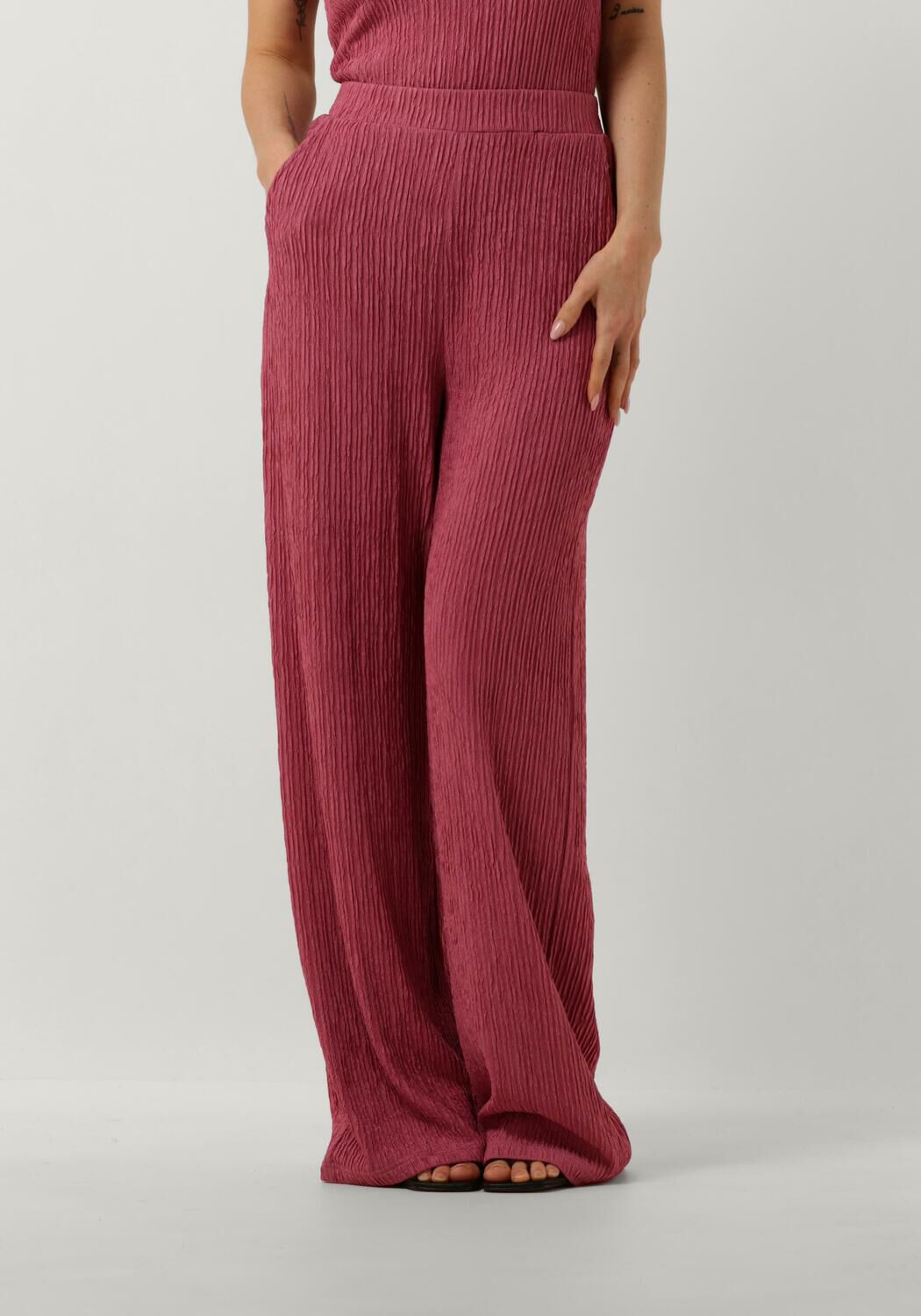 Aaiko Paarse Wijde Broek Ramona Shine Purple Dames