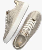 Gouden MEXX Lage sneakers LOUA - medium