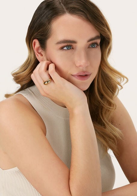 Goudkleurig NOTRE-V Ringen RING ZEGEL ONE SIZE Goudkleurig NOTRE-V Ringen RING ZEGEL ONE SIZE - large