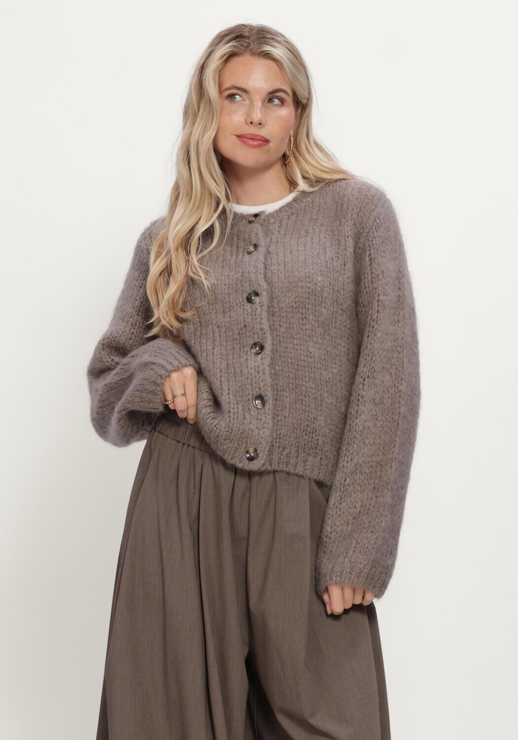 INWEAR Dames Truien & Vesten Jetraiw Cardigan Taupe
