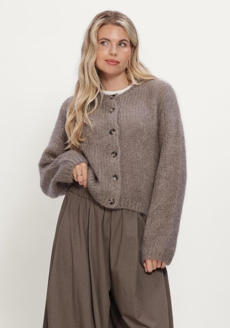 Taupe INWEAR Trui JETRAIW CARDIGAN - large