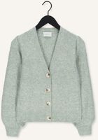 Groene NEO NOIR Vest GIMMA KNIT CARDIGAN Groene NEO NOIR Vest GIMMA KNIT CARDIGAN - medium