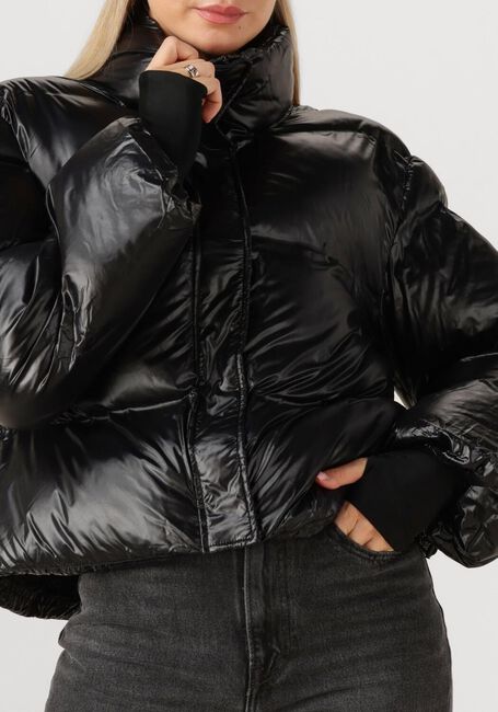 Zwarte NEO NOIR Gewatteerde jas RHEA SHINY PUFFER JACKET - large