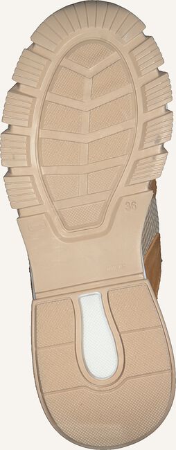 Beige TORAL Lage sneakers 11101 Beige TORAL Lage sneakers 11101 - large