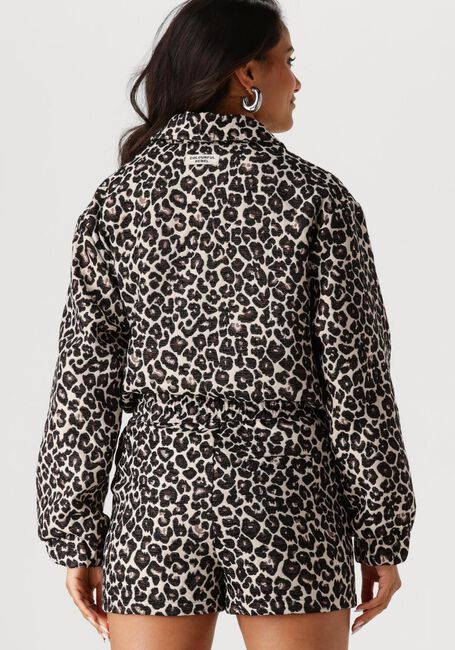 Bruine COLOURFUL REBEL Jack BENTE LEOPARD JACQUARD BOMBER JACKET - large