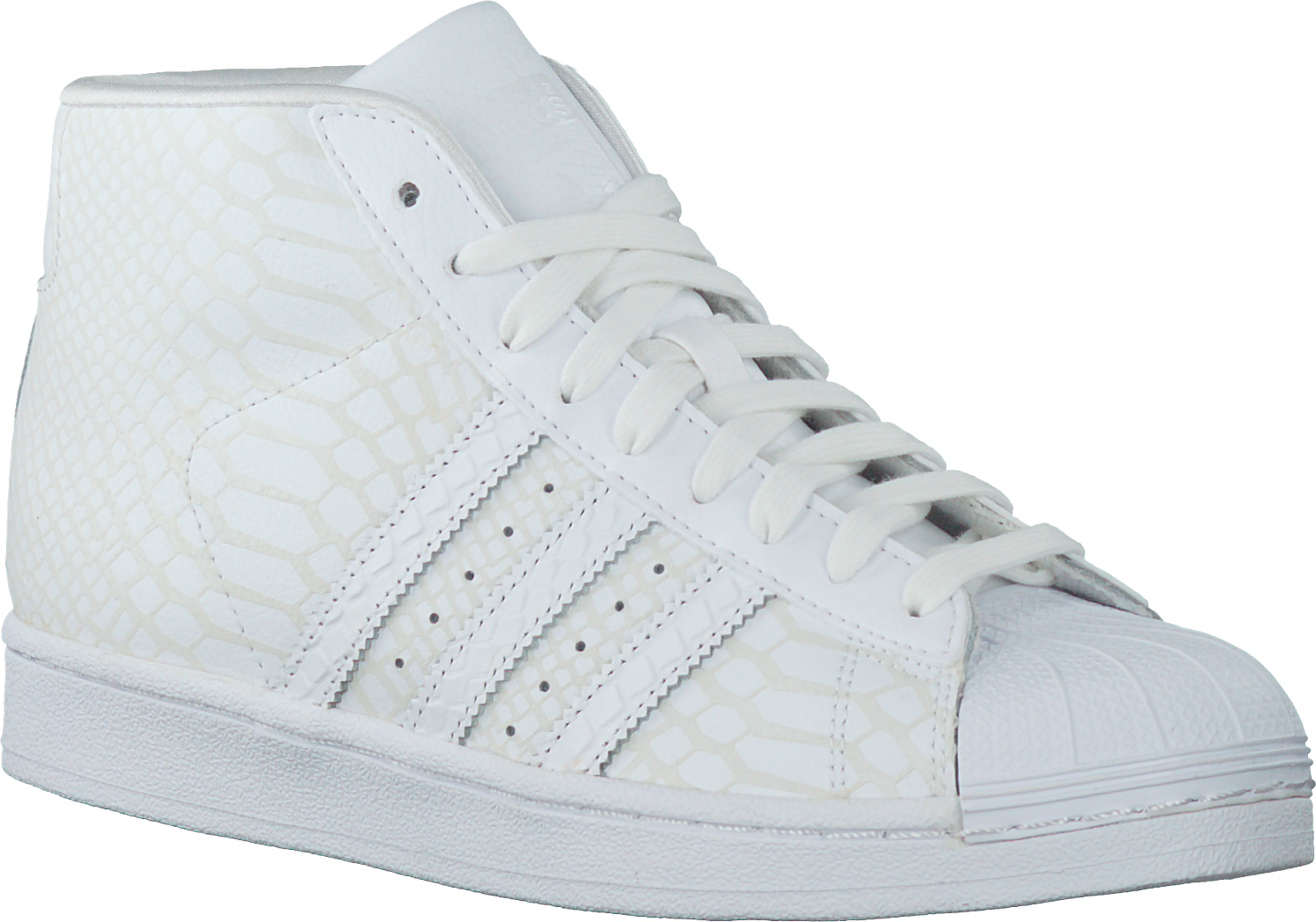 adidas pro model dames