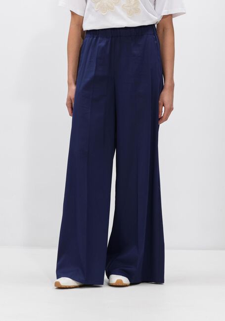 Paarse CAROLINE BISS Midirok 1508 - large