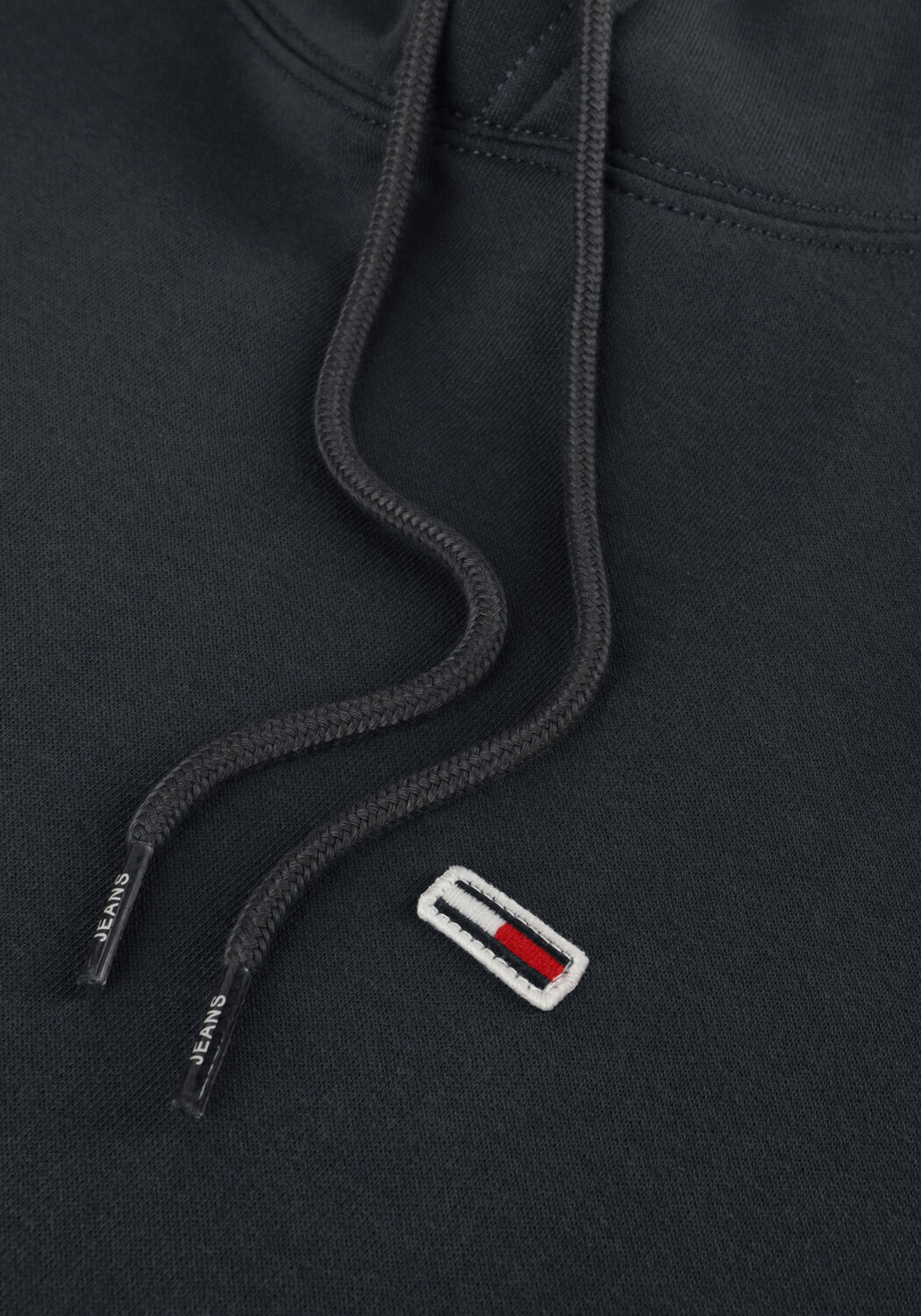 Donkergrijze TOMMY JEANS Sweater TJM REGULAR FLEECE HOODIE - large