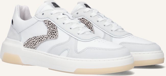 Witte MARUTI Lage sneakers JOLIE Witte MARUTI Lage sneakers JOLIE - large