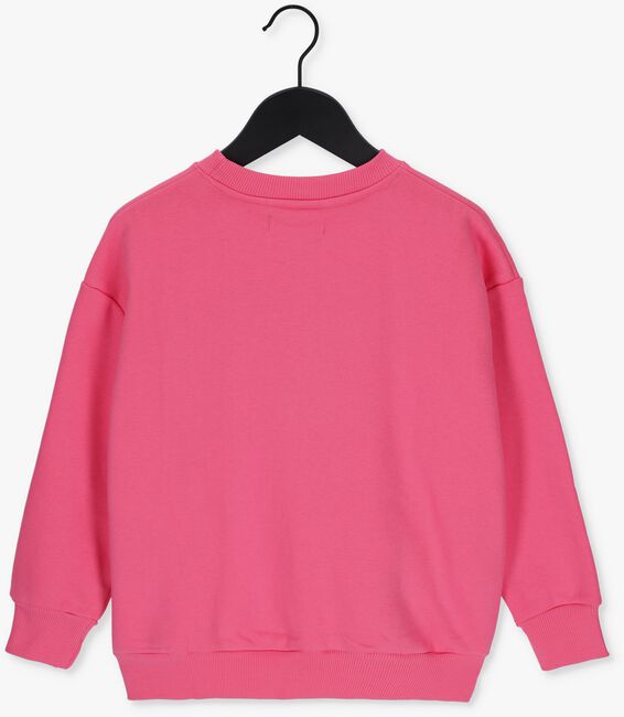 Roze HOUND Sweater OVERSIZED CREWNECK - large