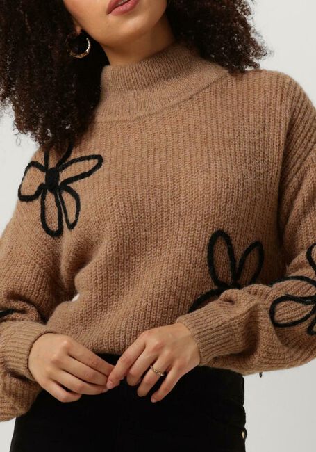 Bruine FABIENNE CHAPOT Trui JIN PULLOVER - large