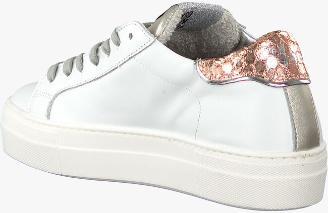 Witte P448 Sneakers E8THEAOMODA - large