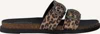 Beige OMODA Slippers LPARANSTUD-07WB - medium