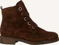 Cognac GABOR Veterboots 705 - medium