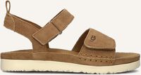 Bruine UGG Platte sandalen GOLDENSTAR - medium