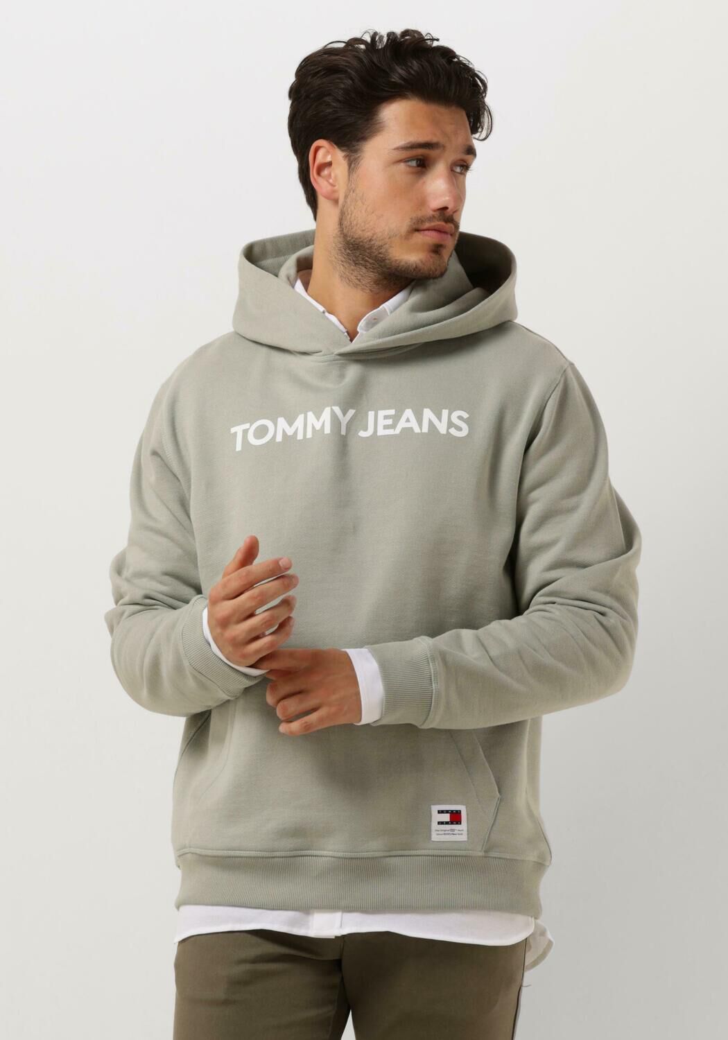 TOMMY JEANS Heren Truien & Vesten Tjm Reg Bold Classics Hoodie Ext Groen