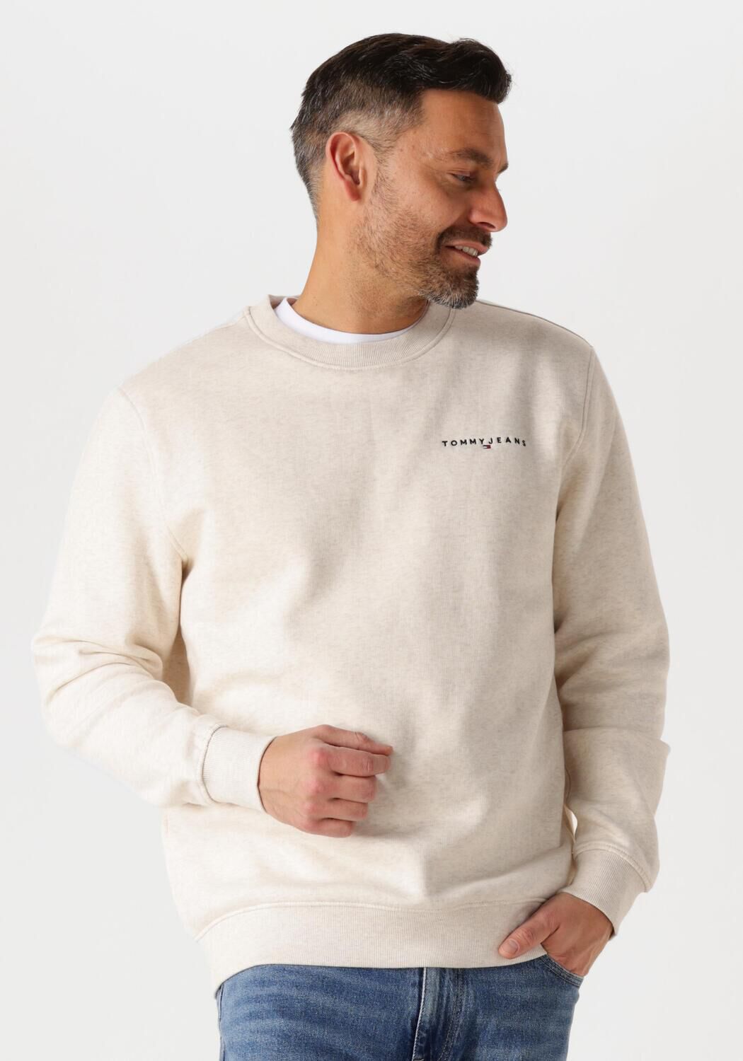 TOMMY JEANS Heren Truien & Vesten Tjm Reg Linear Crew Ext Beige