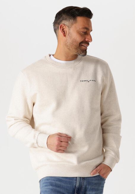 Beige TOMMY JEANS Sweater TJM REG LINEAR CREW EXT - large