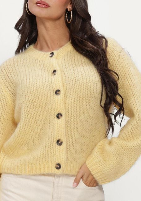Gele INWEAR Trui JETRAIW CARDIGAN - large